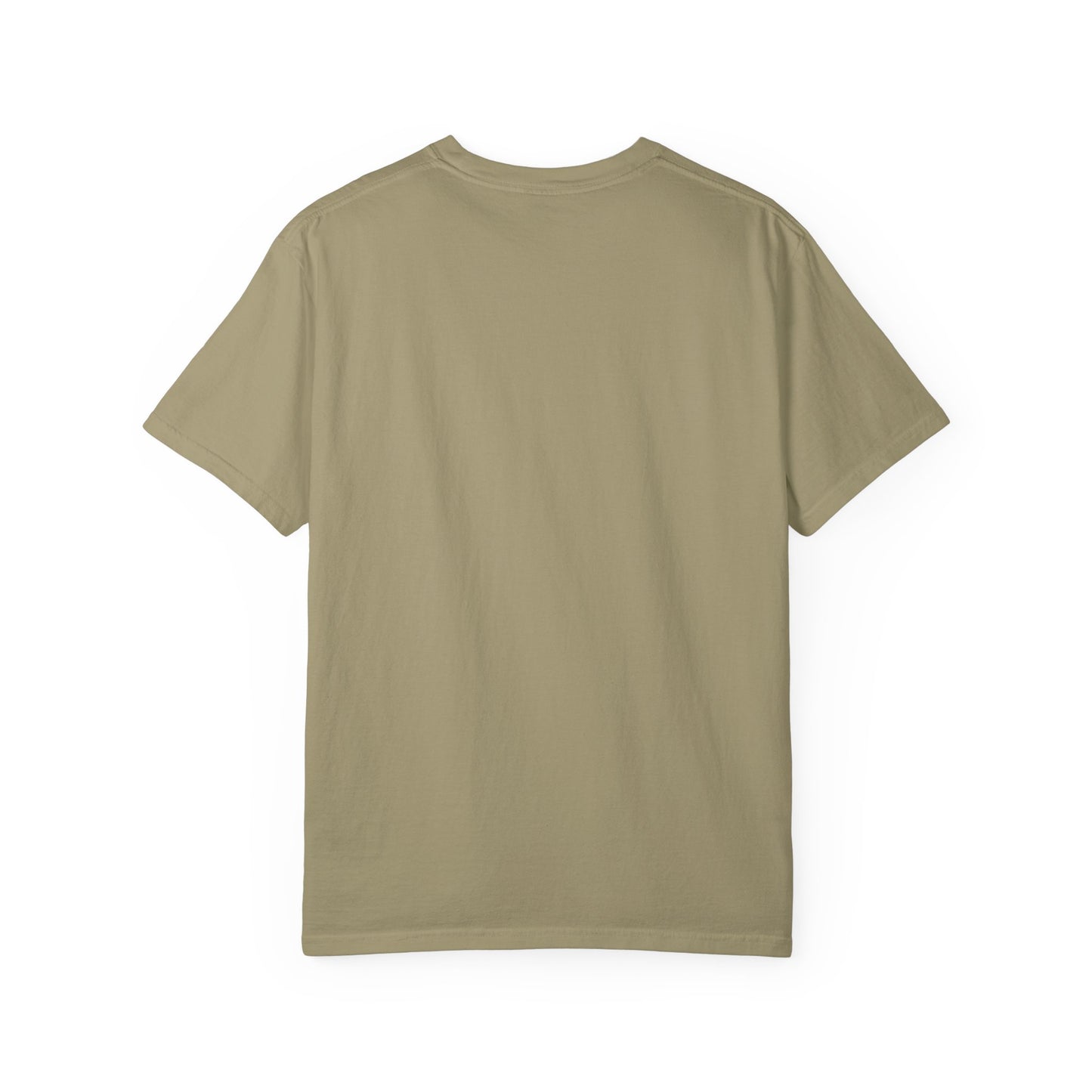 “349,035,494 Americans Is This the Best We Could Do?” T-Shirt | Political Satire