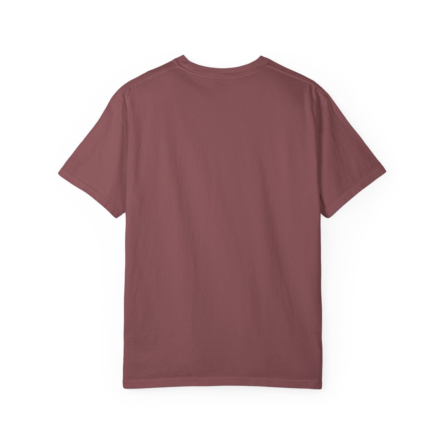 “349,035,494 Americans Is This the Best We Could Do?” T-Shirt | Political Satire