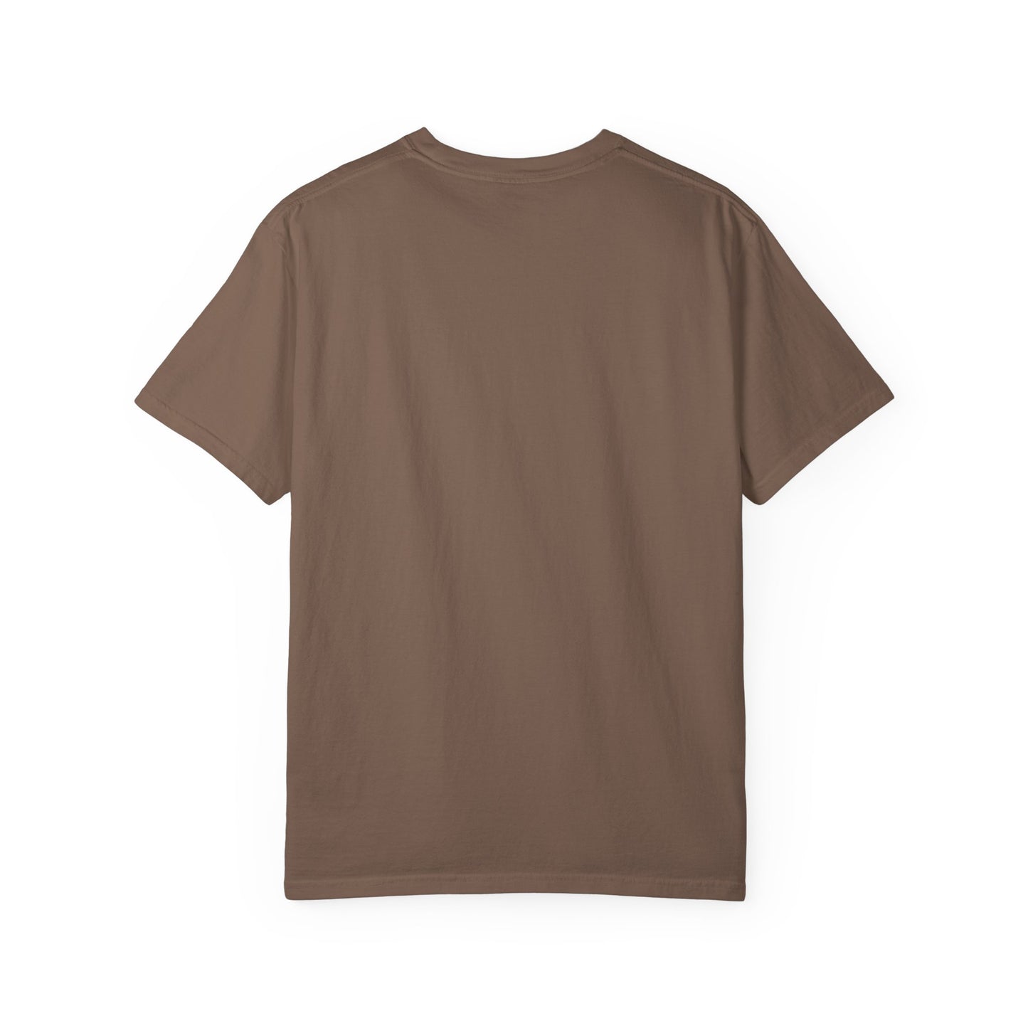 “349,035,494 Americans Is This the Best We Could Do?” T-Shirt | Political Satire